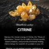 Integrated Wealth Merge Citrine Crystal Pendant